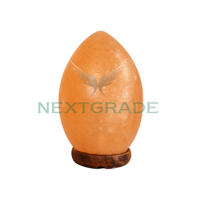 Himalayan Salt Lamp Egg Shape