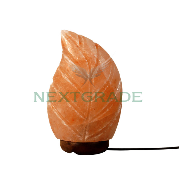 Himalayan Salt Lamp Leaf Shape