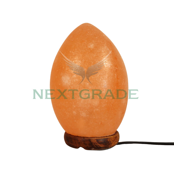 Himalayan Salt Lamp Egg Shape