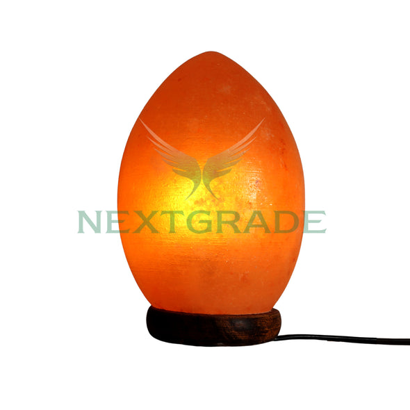 Himalayan Salt Lamp Egg Shape