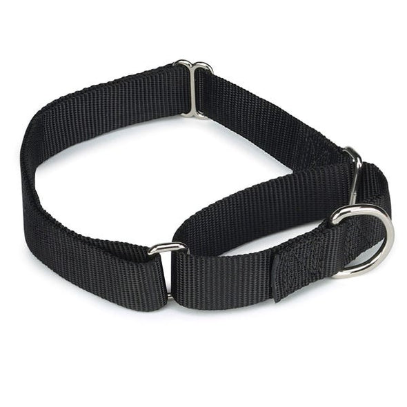 NextGrade Nylon Dog Collars Black