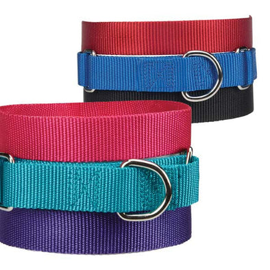 NextGrade Nylon choke collar for Dog - Pack of 6